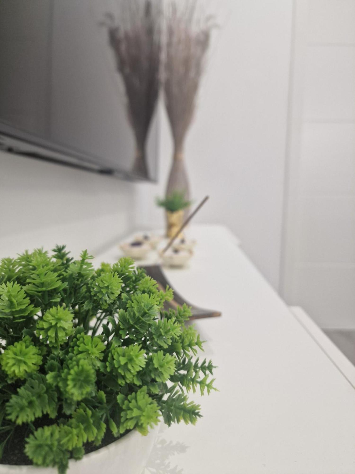 Barcelona, Apartamento De 1 Habitacion Lägenhet L'Hospitalet de Llobregat Exteriör bild